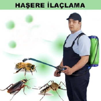 Babaeski Böcek İlaçlama